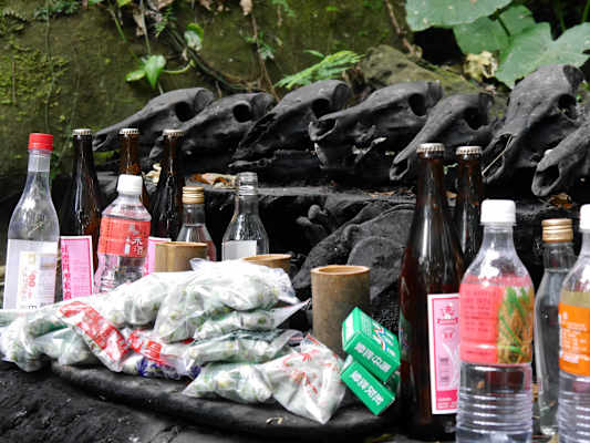 Foto-Galerie: Reise Taiwan