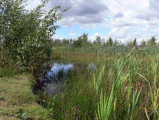 Sentier des Terrils in Belgien