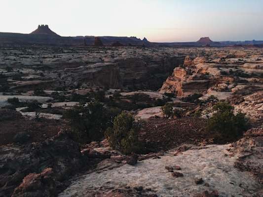 Ana Zirner Colorado River
