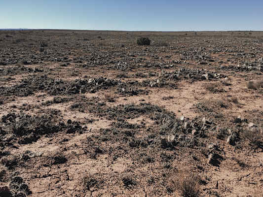 Ana Zirner Colorado River