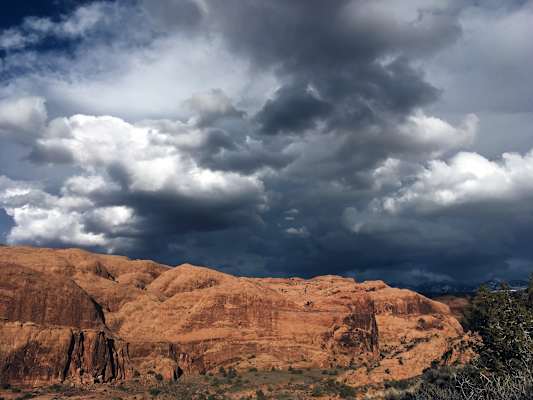 Ana Zirner Colorado River
