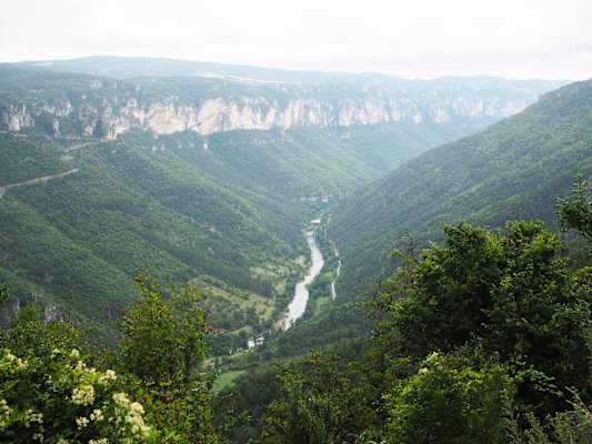 Blick in die Tarnschlucht 