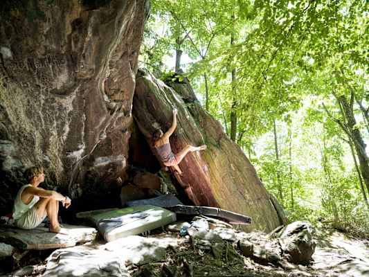 Angenehm schattig, aber doch auch mit schönen Ausblicken - die Boulderblöcke im Kremstal.