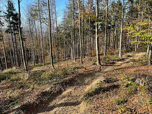 Hohlwege und Rinnen fordern immer wieder die Trail-Skills heraus