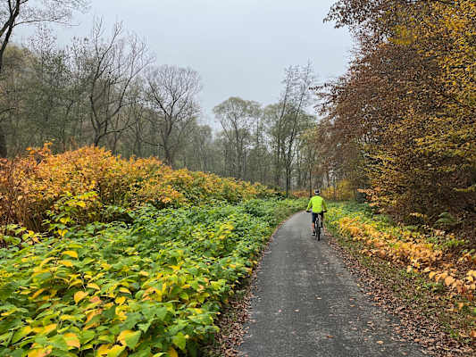 Rund um die Burg Lockenhaus stehen die Blätter in Flammen