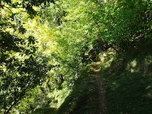 Schattige Waldpfade führen zu versteckten Weilern und kleinen Dörfern.