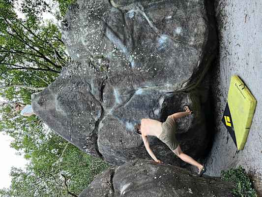 Bouldern in Bleau