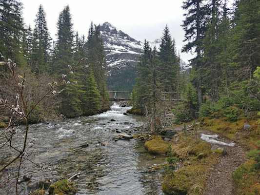 Lake O'Hara