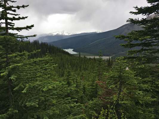 Yoho Pass Emerald Lake
