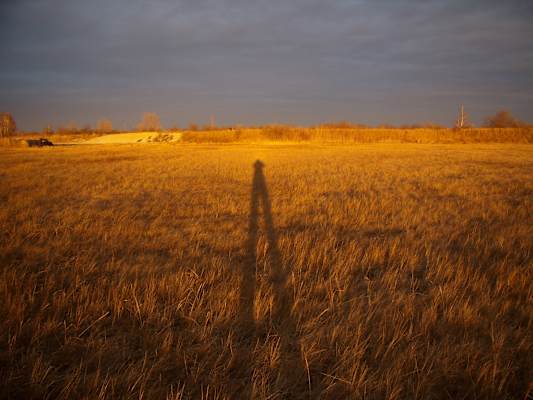 Lange Schatten im Nationalpark Neusiedlersee - Seewinkel