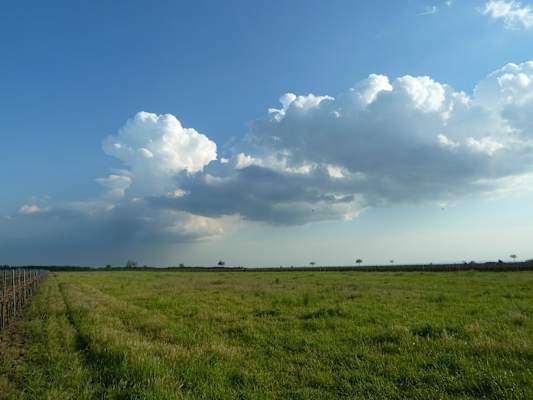 Tolle Wolkenstimmung über der Pusta.