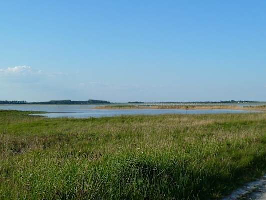 Die Lange Lacke ist ein wahres Vogelparadies.