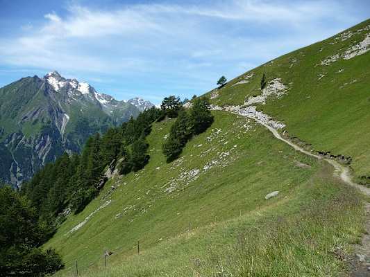 Wandern in Osttirol