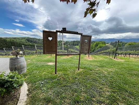 Peiserhof in der Südsteiermark: Aussicht auf die Weinberge mit Fenster und Fensterläden mit Herz