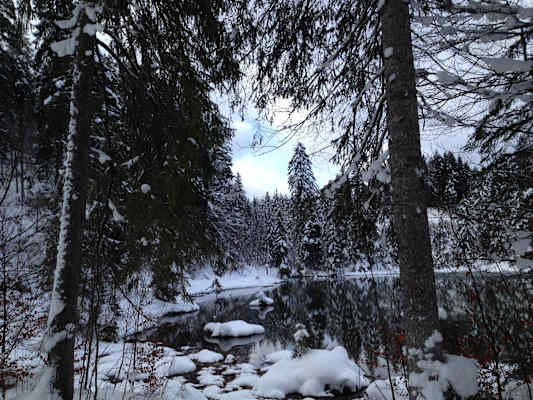 Winterwandern in Reutte