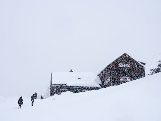 Winterwandern oder Skitour auf die Südwiener Hütte