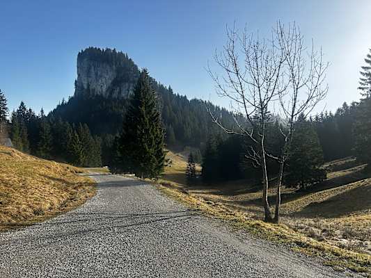 Ob zu Fuß oder mit dem Mountainbike - alle Wege zur Emser Hütte sind schneefrei.
