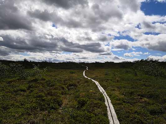 Weitwanderweg Södra Kungsleden Thürmer Christine Steg