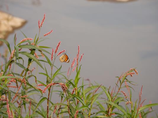 Indien Trekking Madhya Pradesh