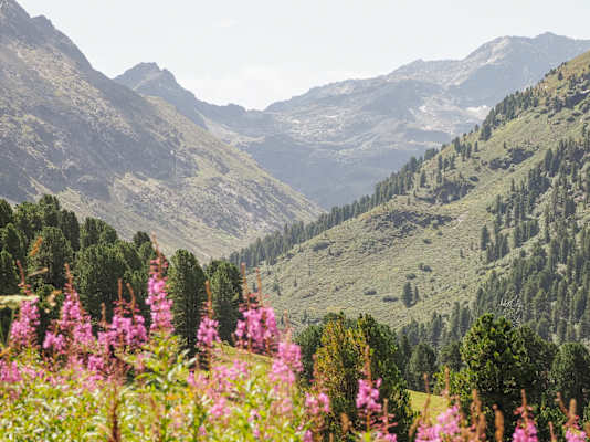 #UNSEREALPEN Alpenverein Amberger Hütte Simon Schöpf