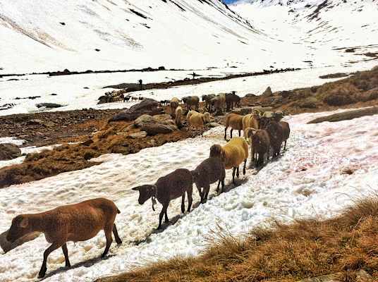 Bergsteigerdorf Vent im Ötztal