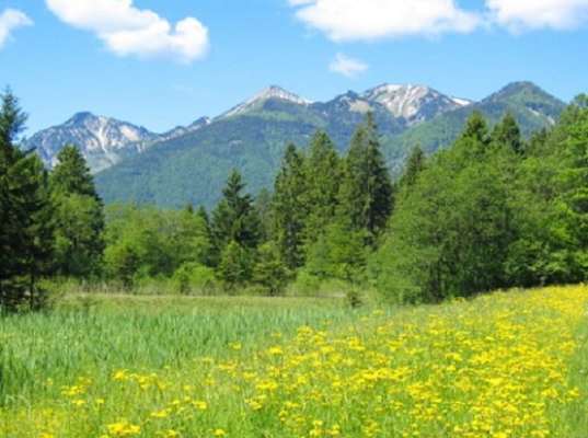 Breitenstein in Bayern