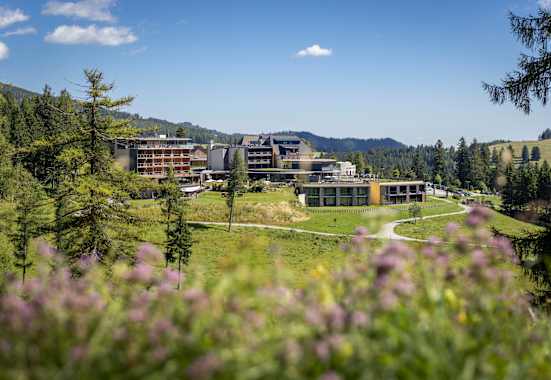 Almwellness Hotel Pierer