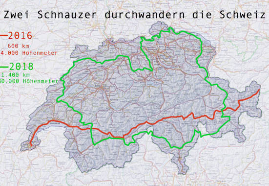 Zwei Schnauzer durchwandern die Schweiz