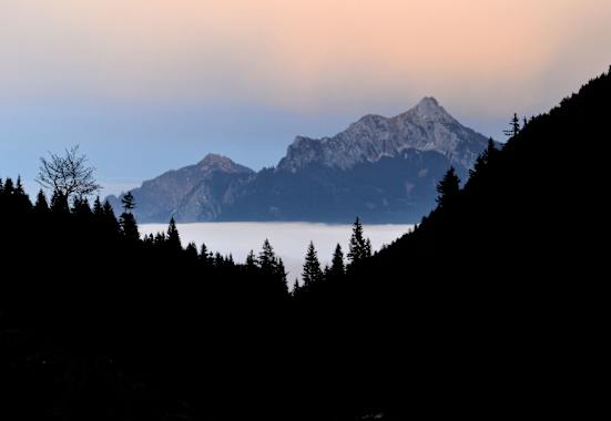 Blick in die Allgäuer Berge: Säuling