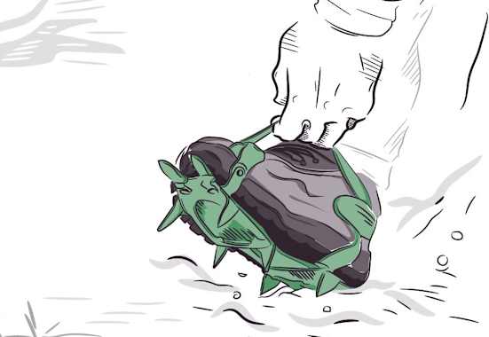 Richtig Gehen mit Steigeisen: Korrekt anpassen!