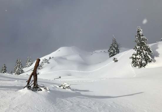 Winterlandschaft in Tirol: Tierspuren im Schnee