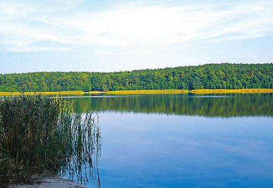Eine aussichtsreiche Wald-Feldflurenwanderung. 