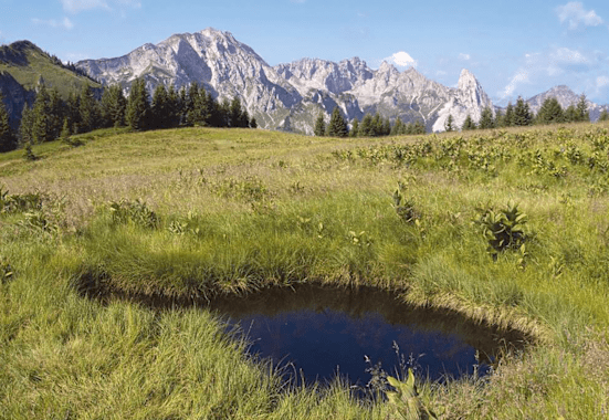 Die relative Ruhe und natürlich das prächtige Landschaftserlebnis machen diese schöne Tour besonders lohnend.