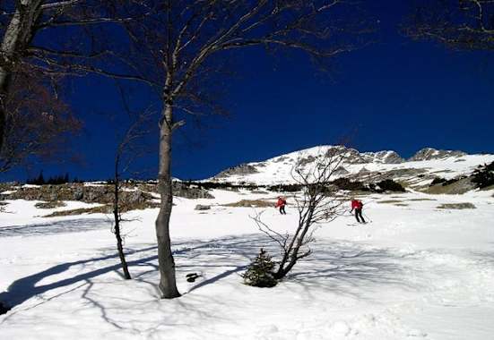 „Wurzleiten", Ybbstaler Alpen