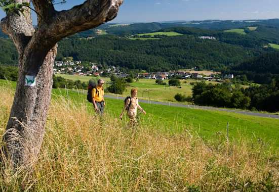 Unterwegs am WesterwaldSteig