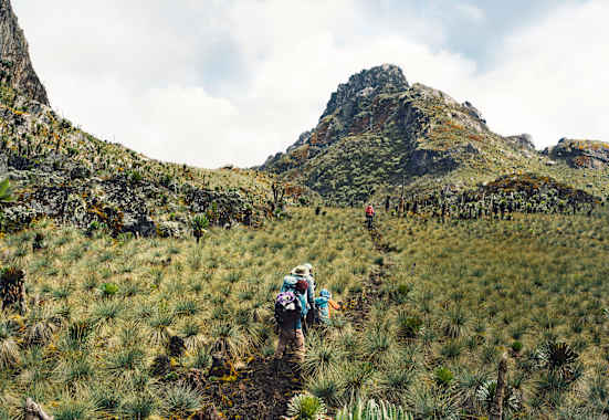 Auf dem Weg zum Gipfel des Regenmachers, dem Ruwenzori.