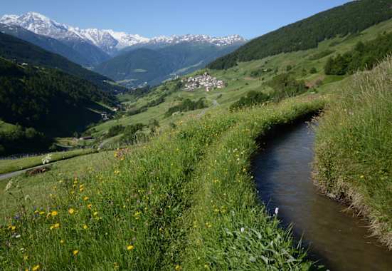 Matsch mit dem Ortler und Ackerwaal