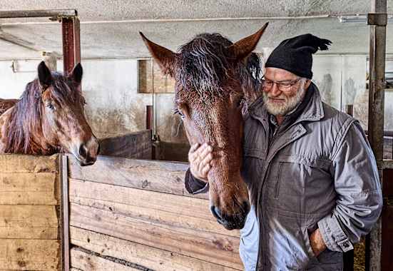 In den Wintermonaten genießen die Pferde im Stall die Zuwendung der Bergbauern.