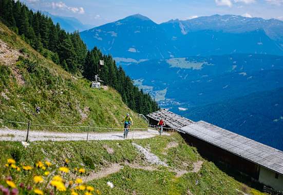 Mountainbiken MTB Forststraße