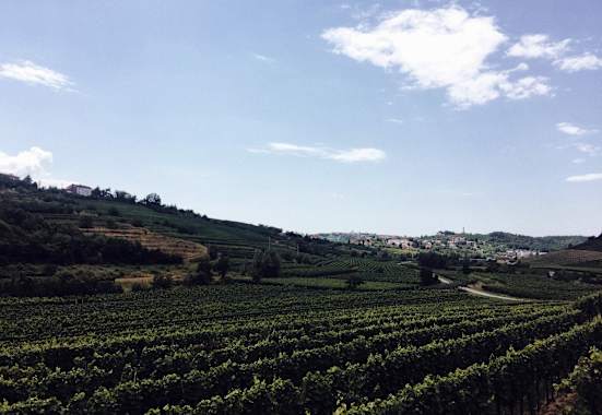 Ernst Merkinger Alpe Adria Trail