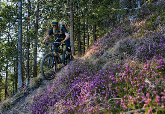 Mountainbiker im Wald
