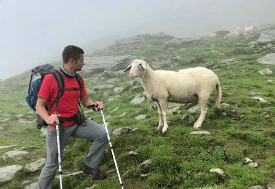 Wandertipp: Alexander Enzinger Weg