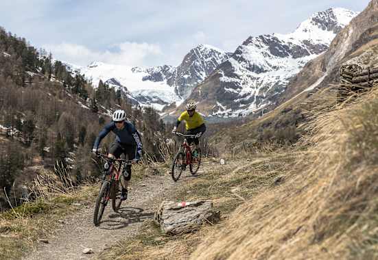 Terrex Zermatt Experience Matterhorn