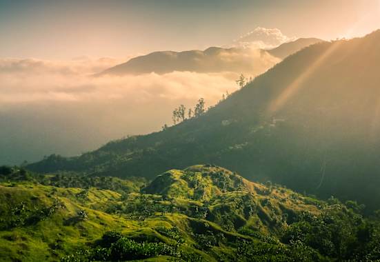 Jamaika Blue Mountains Wandern