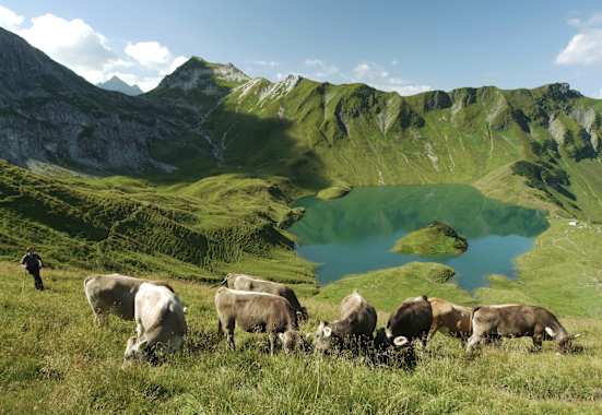 Der Schrecksee mit Alpwirtschaft