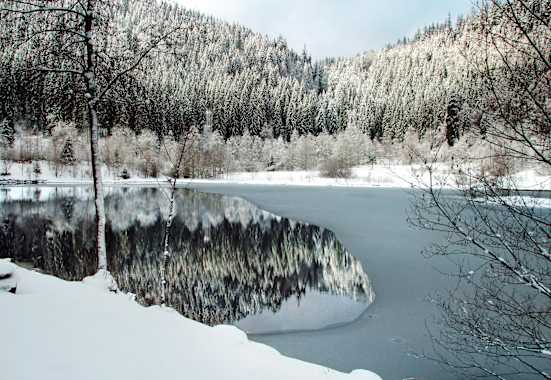 Sankenbachsee in Baiersbronn