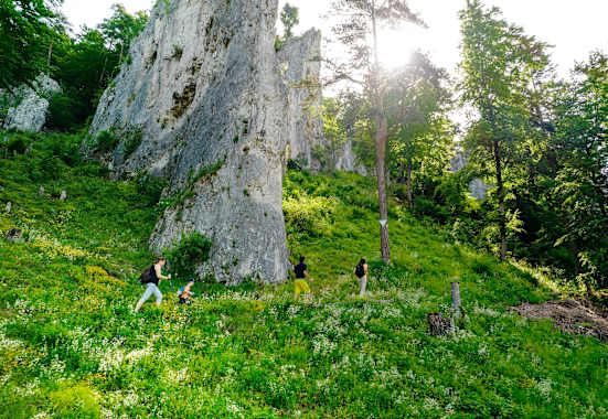 Blaubeuren Geißenklösterle