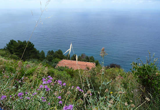 Im Frühling ist eine Wanderung in Cinque Terre besonders empfehlenswert