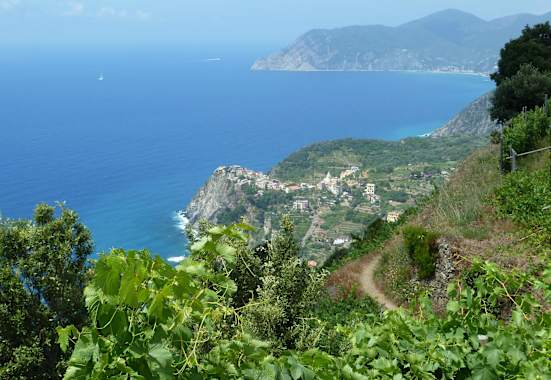Cinque Terre - Blick aufs Meer
