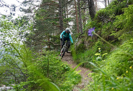 Mit dem Mountainbike in Innsbruck 